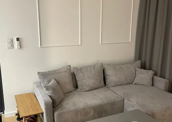 Kingdomki * 科帕利诺