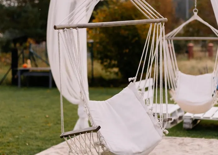 Kingdomki * 科帕利诺